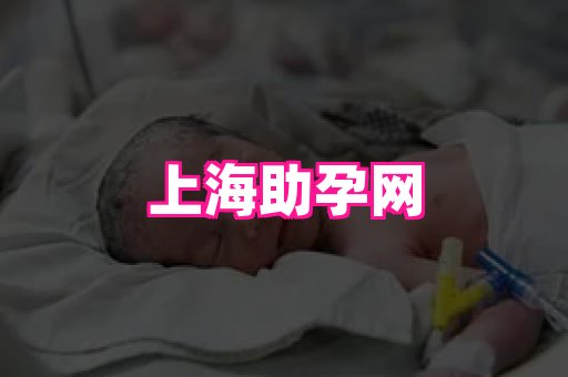 gfg孕网 1