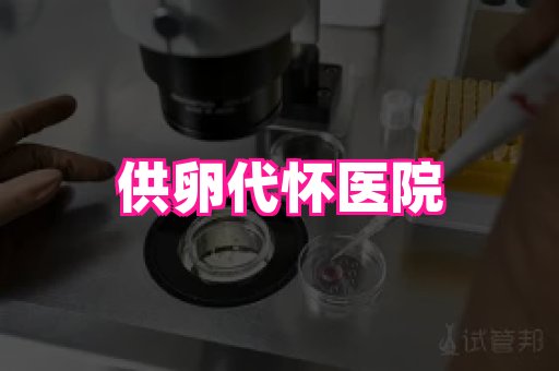 gfg孕网 4